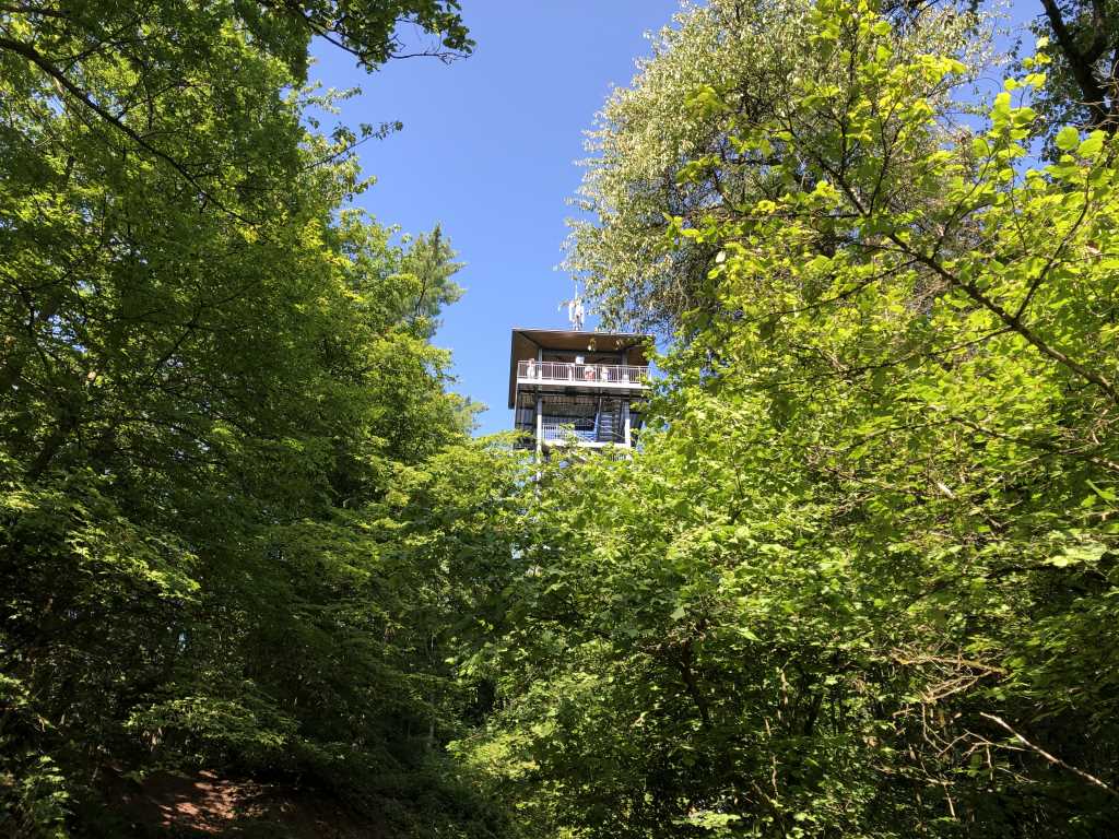 Prinzenkopfturm Zell - Urlaub an der Mosel und in der Mosel-Eifel in Ferienwohnung Bad Bertrich, Kurfürstenstraße 57, 56864 Bad Bertrich
